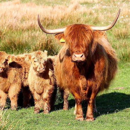 Drumbuie Farm B&B Drumnadrochit Ngoại thất bức ảnh