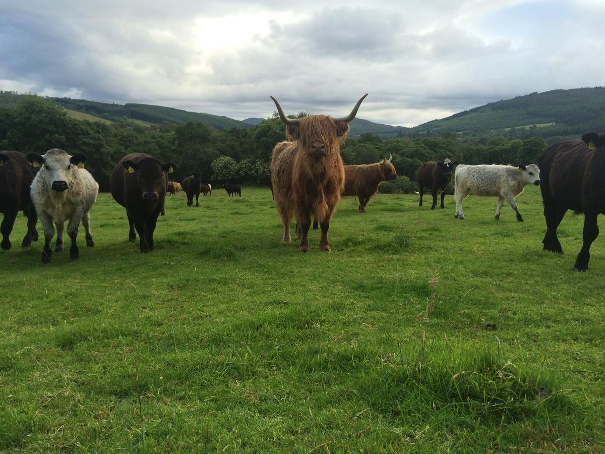 Drumbuie Farm B&B Drumnadrochit Ngoại thất bức ảnh